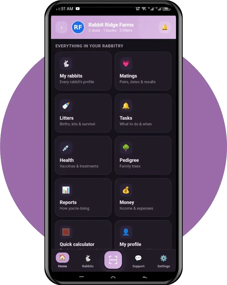 Rabbit Breeding Calculator App